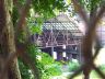 DCP_0582.jpg