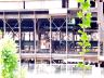 DCP_0591.jpg